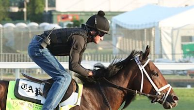 Did Fierceness Run Too Fast in the Florida Derby?