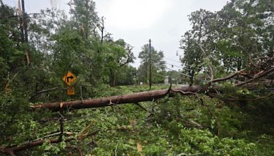 3 tornadoes confirmed in Tallahassee after severe weather; woman killed