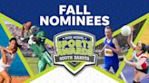 Meet the 2023 South Dakota High School Sports Awards fall sports nominees