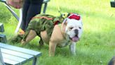 Canines and costumes at Wheeling’s second FidoFest