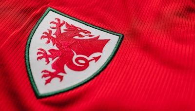 FAW president Steve Williams suspended pending an investigation | ITV News