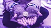 Charitable Crypto Giving Continues Through Bear Market