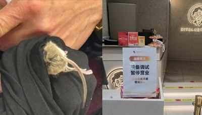 西塔老太太南京分店 老鼠鑽進顧客褲子裏 門店暫時歇業全面消殺