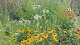 Welcome Mat: 31st annual Ann Arbor Garden Walk