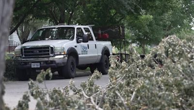 Dundee neighbors move final tree limbs to the curb before city wide pickup