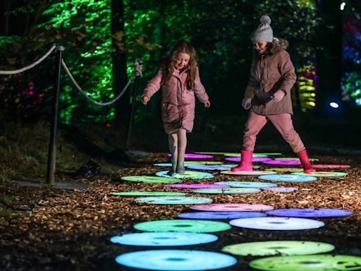 Enchanted Forest: Food and drink prices revealed for Perthshire event