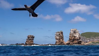 Fundación Charles Darwin presenta nueva estrategia para la protección de Islas Galápagos