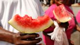 Let the seed-spitting begin – it's watermelon time: Campbell Vaughn