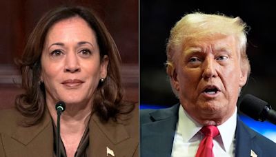 Harris vs. Trump: What do the polls tell us about an unprecedented presidential race?