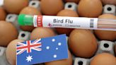 Australia reports new avian flu case at poultry farm