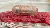 This edible robot scrubs through intestinal mucus to deliver drugs