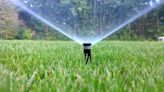 Kirk LaPointe: Lush lawns are a water-wasting luxury we can no longer afford