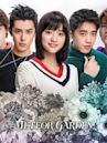 Meteor Garden