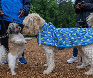 At last, a dog park opens east of D.C.’s Anacostia River