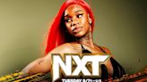 WWE NXT Preview (5/28/24)