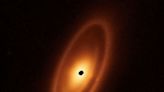 Webb telescope spots three debris belts around luminous star Fomalhaut