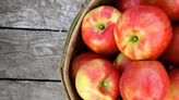 Michigan apple season expected to bring bumper crop of 32 million bushels