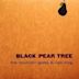 Black Pear Tree