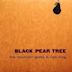 Black Pear Tree EP