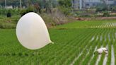 Trash balloons land near S Korea president's office