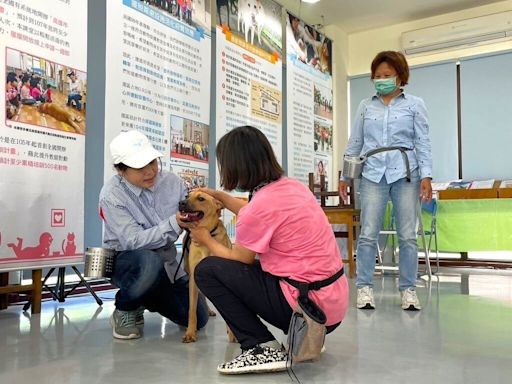 高市動保處首創訓犬課程 讓飼主更懂毛小孩