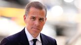 DC bar association seeks to suspend Hunter Biden's law license following felony conviction