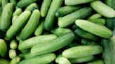 Cucumbers shipped to 14 states recalled due to potential salmonella contamination