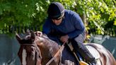 Avengers Using Their Imagination for a Preakness Double