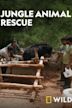 Jungle Animal Rescue