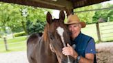 Herbert Kohlmannsberger: On Horseback to Venice, Paris, China