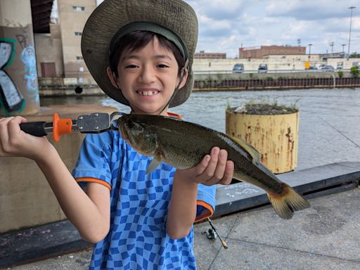 Chicago fishing: Pink salmon reminder and settling down into summer patterns