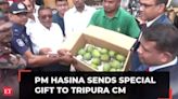Bangladesh PM Sheikh Hasina gifts 400 kg Harivanga Mangoes, 50 kg Hilsa Fish, 50 kg Rosogollas to Tripura CM Manik Saha