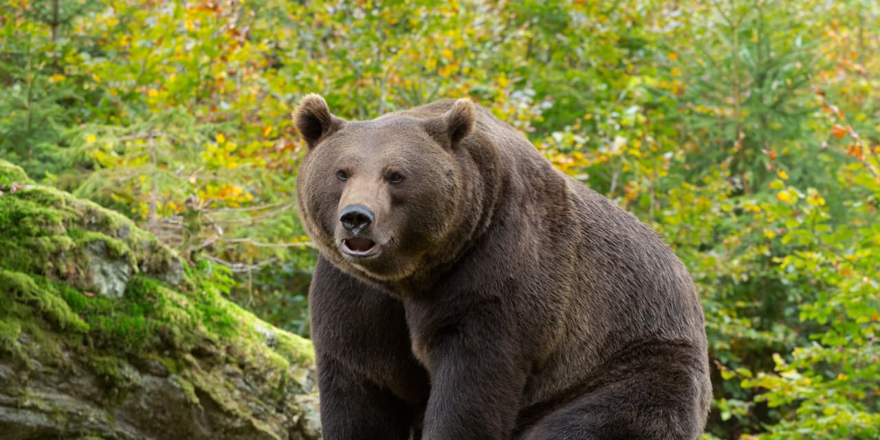 JPMorgan is the last bear on Wall Street. Why it’s not budging on a bearish stock view.