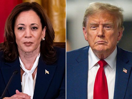 Kamala Harris Closes In on Donald Trump in Hypothetical 2024 Matchup, Beating Joe Biden's Numbers: CNN Poll