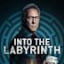 Into the Labyrinth (film)