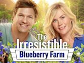 The Irresistible Blueberry Farm