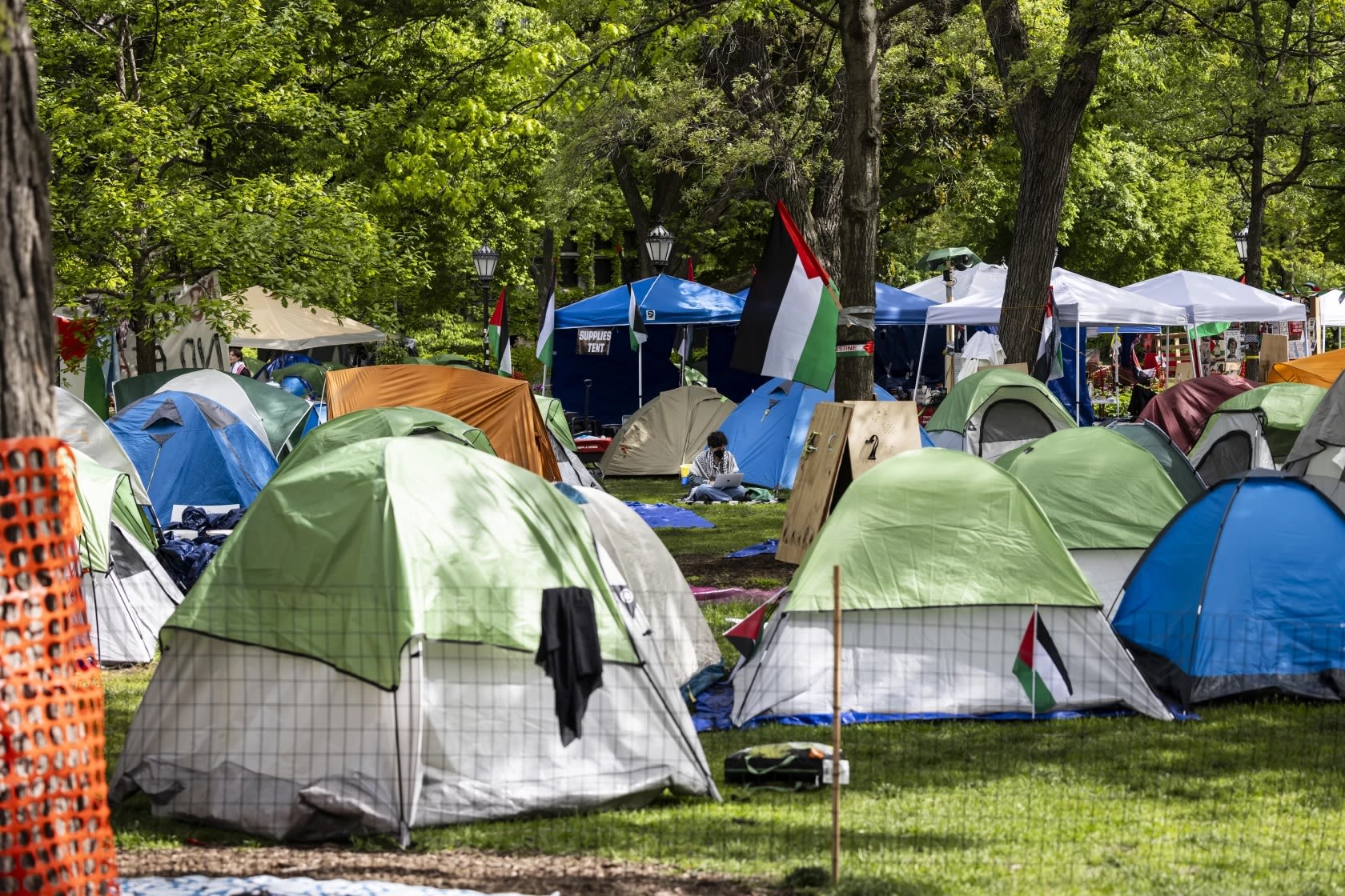 Police begin clearing out pro-Palestinian encampment on campus of University of Chicago