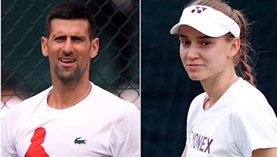 Wimbledon day eight: Novak Djokovic and Elena Rybakina continue title bids