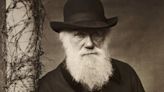 Charles Darwin tenía razón: cómo una tribu de Indonesia evolucionó genéticamente para nadar bajo el agua por horas