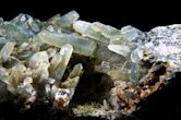 Prasiolite