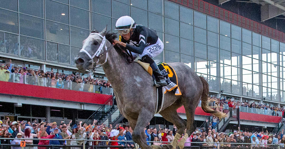 Bloodlines Presented By Walmac Farm: Preakness Winner Seize The Grey A Strong Final Act For Sire Arrogate, Breeder Otto