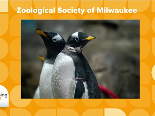 Get Ready To Enjoy Milwaukee's Zoo