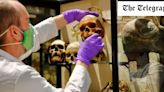 University of Oxford museum hides African mask that ‘must not be seen by women’