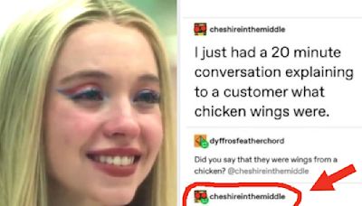 35 Times Customers Proved Beyond A Shadow Of A Doubt That They Are 100% The Dumbest People On The Planet