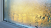 Prevent condensation in your home with these 6 expert-approved tips