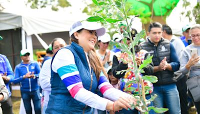 Aguascalientes inicia campaña masiva para plantar 100 mil árboles en 2024