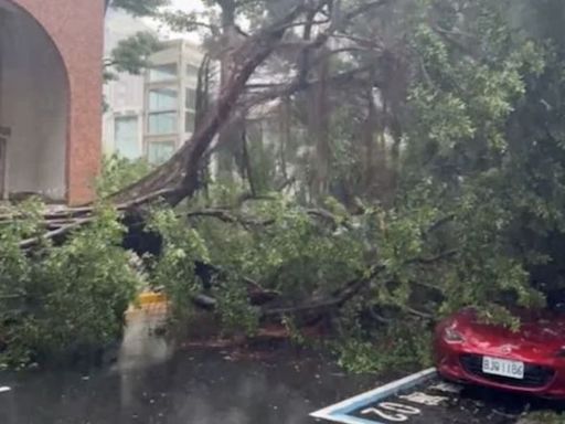 豪雨連炸北市災情多！9米路樹砸雙門跑車 千萬麥拉倫打滑撞毀｜壹蘋新聞網