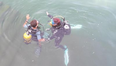 En imágenes: Bautismo de buceo en la ría del Eo