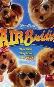 Air Buddies