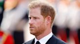From Brotherly Beefs to Penises, Virginity, Drugs and More, Prince Harry's Biggest Bombshells and Juiciest Confessions From 'Spare'